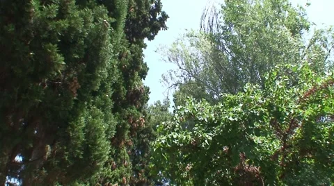 Kiosk in Park Stock Footage 1060046