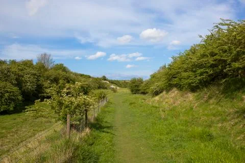 Kiplingcotes nature reserve Foto stock