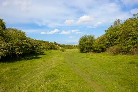Kiplingcotes nature reserve Stock Photos