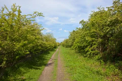 Kiplingcotes nature walk Stock Photos