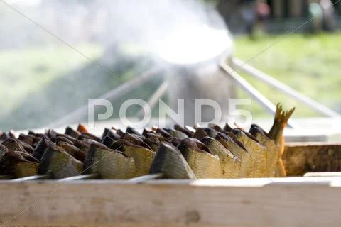 Kippers Stock Photos