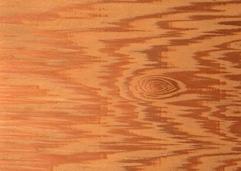 Kirishima Cedar Stock Photos