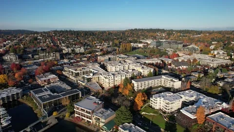 Kirkland in the Fall 動画素材 263692776