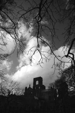Kirkstall abbey framed by trees Foto stock
