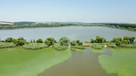 The Kis Balaton in Hungary. Stock Footage 161067026