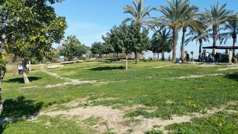 The Kishon River Stock Photos