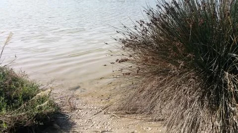 The Kishon River Stock Photos
