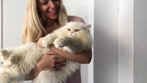 Kiss for Kitty Stockbeeldmateriaal 98795744