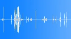 KISS multiple shrieking and funny annoying smacksSound Effect
