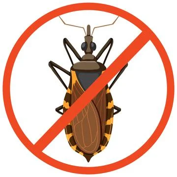 Kissing bug on white background Stock Illustration