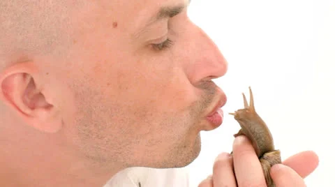 Kissing snail Stock Footage 24515436