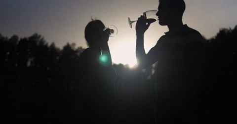 Kissing at sunset 库存影片 38844480