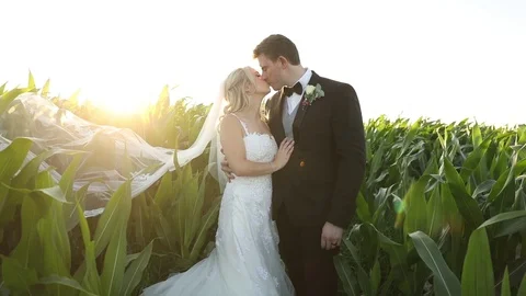 Kissing at Sunset Stock-Footage 114885663