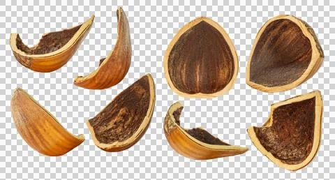 Kit. hazelnut shells. Depth of field. Isolated. On an empty background. Foto stock