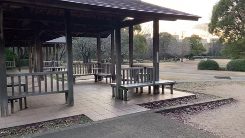 Kitanomaru Park Stock Footage 148208686