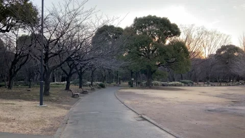 Kitanomaru Park Stock Footage 148208703