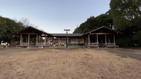 Kitanomaru Park Stock Footage 148208713