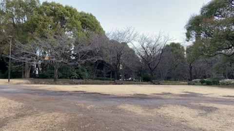 Kitanomaru Park Stock Footage 148208715