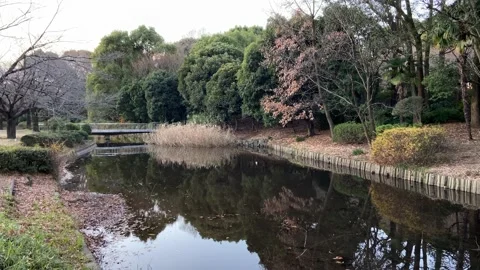 Kitanomaru Park Stock Footage 148208728