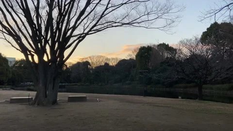 Kitanomaru Park Stock Footage 148208768