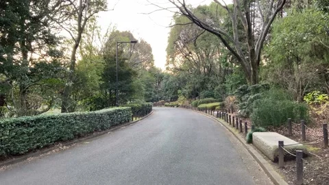 Kitanomaru Park Stock Footage 148208812