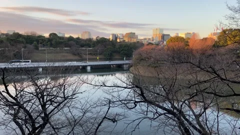 Kitanomaru Park Video stock 148208831