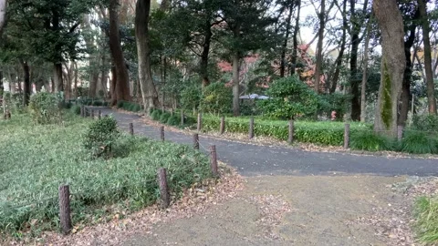 Kitanomaru Park Stock Footage 148208849