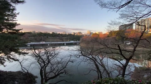 Kitanomaru Park Stock Footage 148208853
