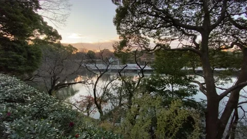 Kitanomaru Park Stock Footage 148208899