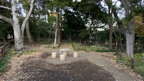 Kitanomaru Park Stock Footage 148208910