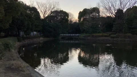 Kitanomaru Park Stock Footage 148208958