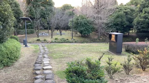 Kitanomaru Park Stock Footage 148208968