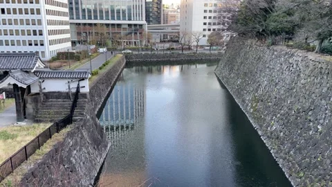 Kitanomaru Park Video stock 148209000