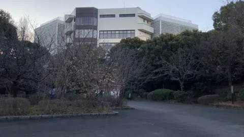 Kitanomaru Park Stock Footage 148209013