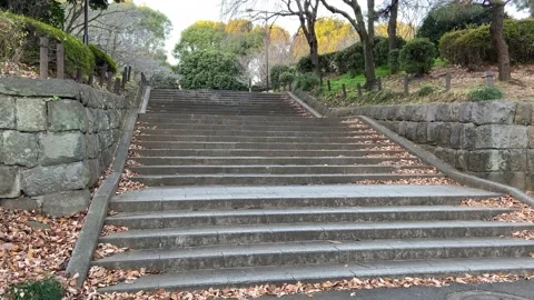 Kitanomaru Park Stock Footage 148209016