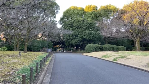 Kitanomaru Park Stock Footage 148209026