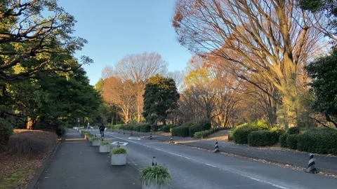 Kitanomaru Park Stock Footage 148209073