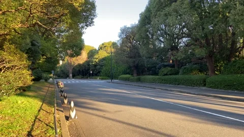 Kitanomaru Park Stock Footage 148209088