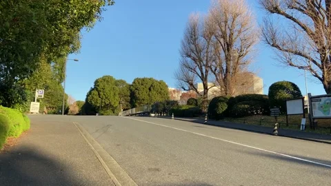 Kitanomaru Park Video stock 148209101