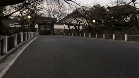 Kitanomaru Park Stock Footage 148209117