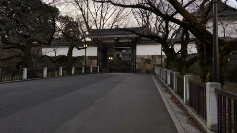 Kitanomaru Park Stock Footage 148209124