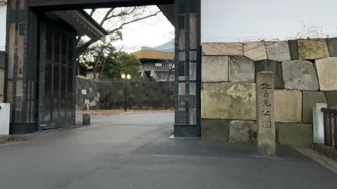 Kitanomaru Park Video stock 148209132