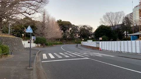 Kitanomaru Park Stock Footage 148209161