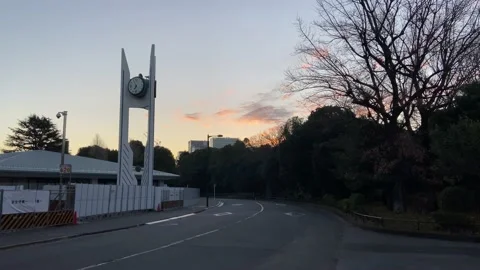 Kitanomaru Park Video stock 148209175