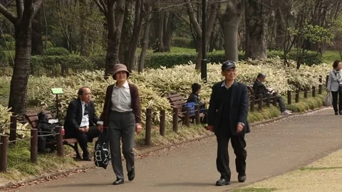 Kitanomaru Park/Garden Stock Footage 203783886