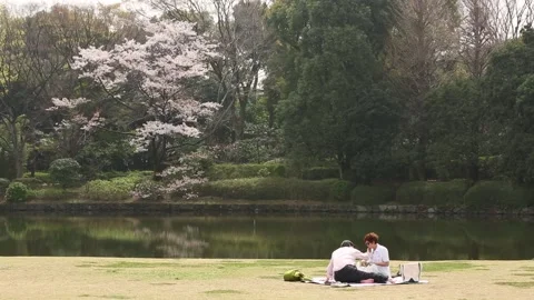 Kitanomaru Park/Garden Stock Footage 203784253