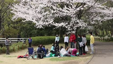 Kitanomaru Park/Garden Stock Footage 203787743