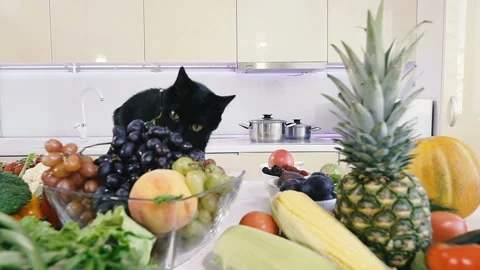 Kitchen and vegetables. Black cat climbs on the kitchen table with vegetables Video stock 115135163