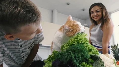 Kitchen and vegetables. The cat in the kitchen eats greens. Video stock 115134663