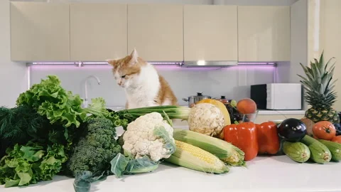 Kitchen and vegetables. Red cat climbs on the kitchen table with vegetables. Video stock 115135085